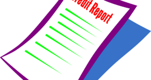Analyzing Our Investment Fund