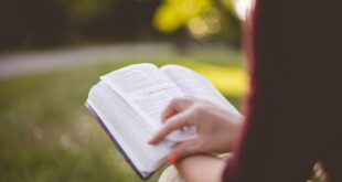 Essential Reading for Savvy