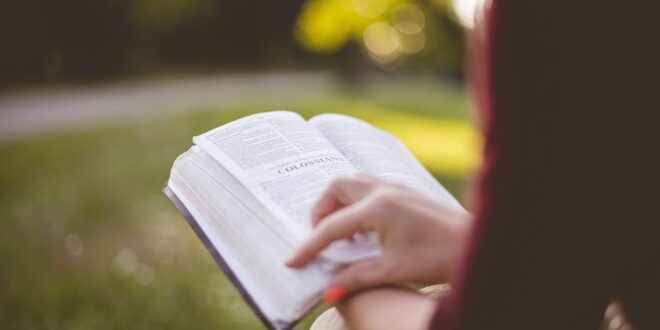 Essential Reading for Savvy