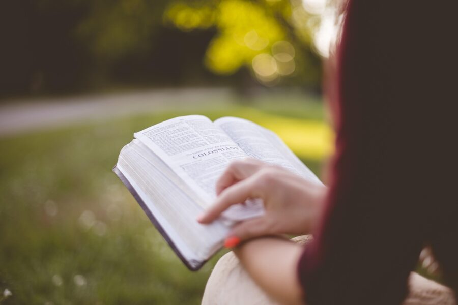 Essential Reading for Savvy