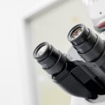 In-Depth Investment Research